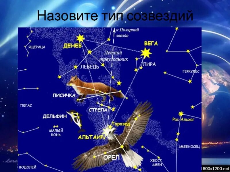 Созвездие голубь. Созвездия на небе. Созвездия картинки. Созвездие орла. Созвездие орла на карте звездного неба.