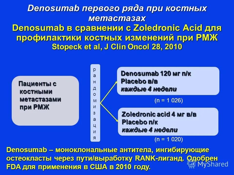 Rankl в регуляции ремоделирования костной. (rankl) — деносумаб. остеопротегерин rank rankl. Rankl inhibitor. деносумаб метастазы.