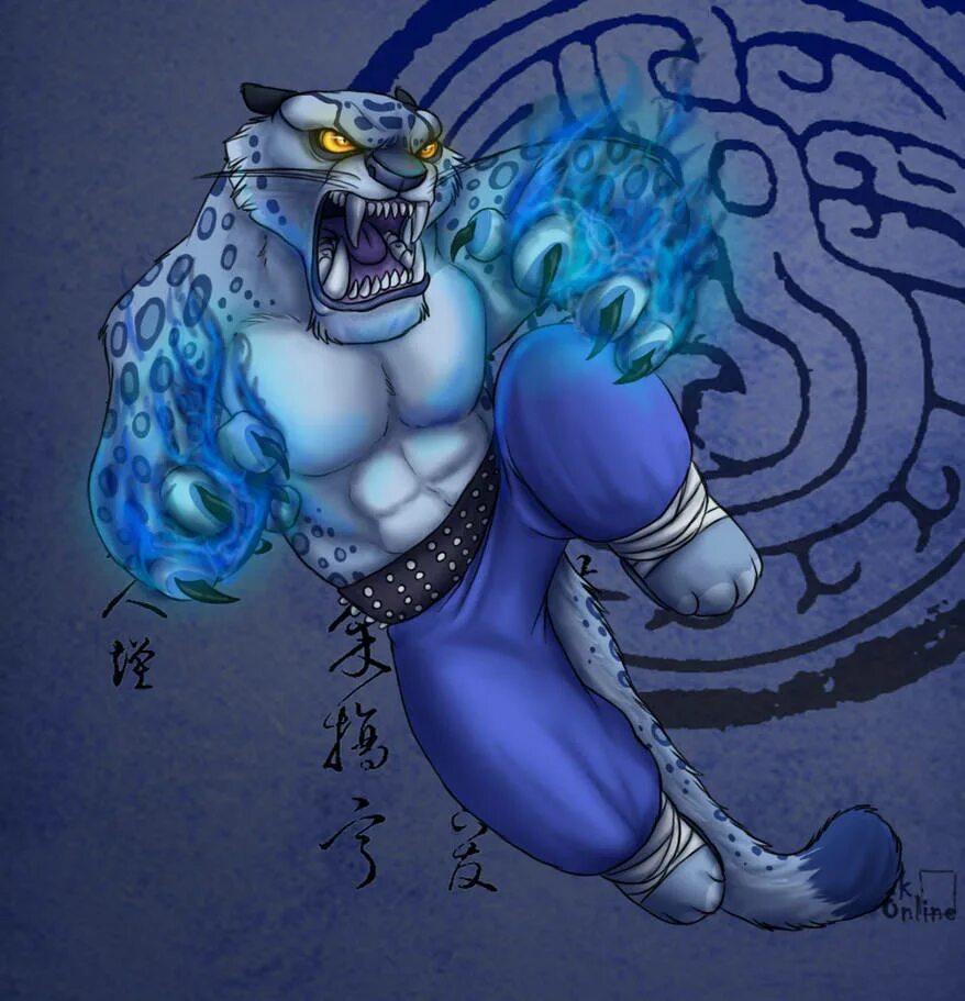 Tai lung kung fu