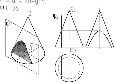 Сечение конуса плоскостью параллельно
