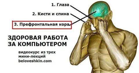 Что поможет сделать датчик на префронтальной коре