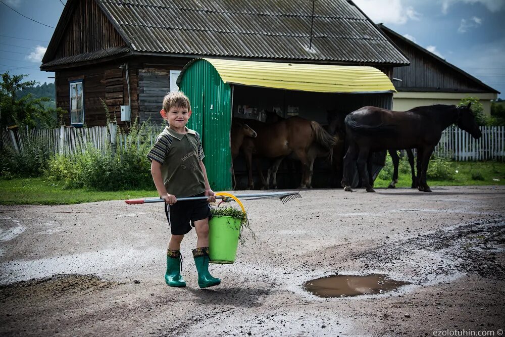 Погода родники шарыповский. Село Родники Шарыповский район. Росинка Шарыповский район. Деревня Росинка Шарыповский район. Деревня Родники Шарыповский район.