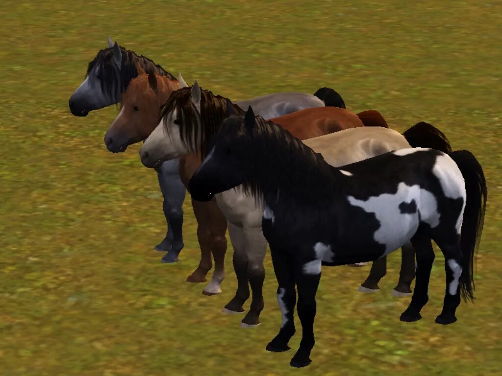 Horse sim. SIMS 3 лошади. SIMS 4 лошади. SIMS 3 Horse cc. Симс 3 питомцы лошади.