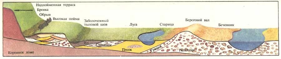 Пойма что это такое. Строение русла реки. Строение Речной Поймы схема. Строение Поймы реки схема. Структура Речной Поймы.