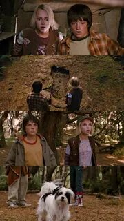 Bridge to Terabithia (2007) em 2020 Ponte para terabítia, Filmes, Ponte.