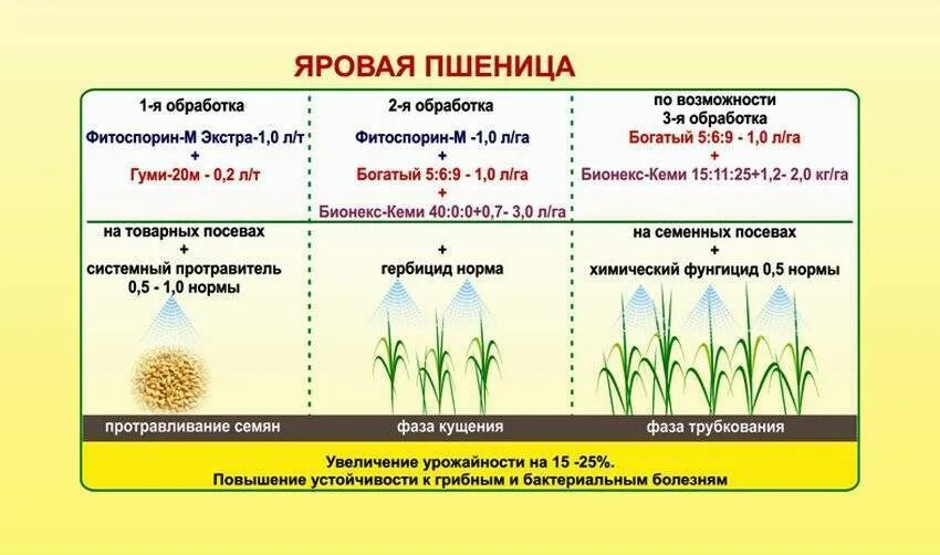 Овес таблица. Удобрение Яровой пшеницы схема. Схема высева Яровой пшеницы. Схема уборки Яровой пшеницы. Обработка фунгицидами озимой пшеницы.