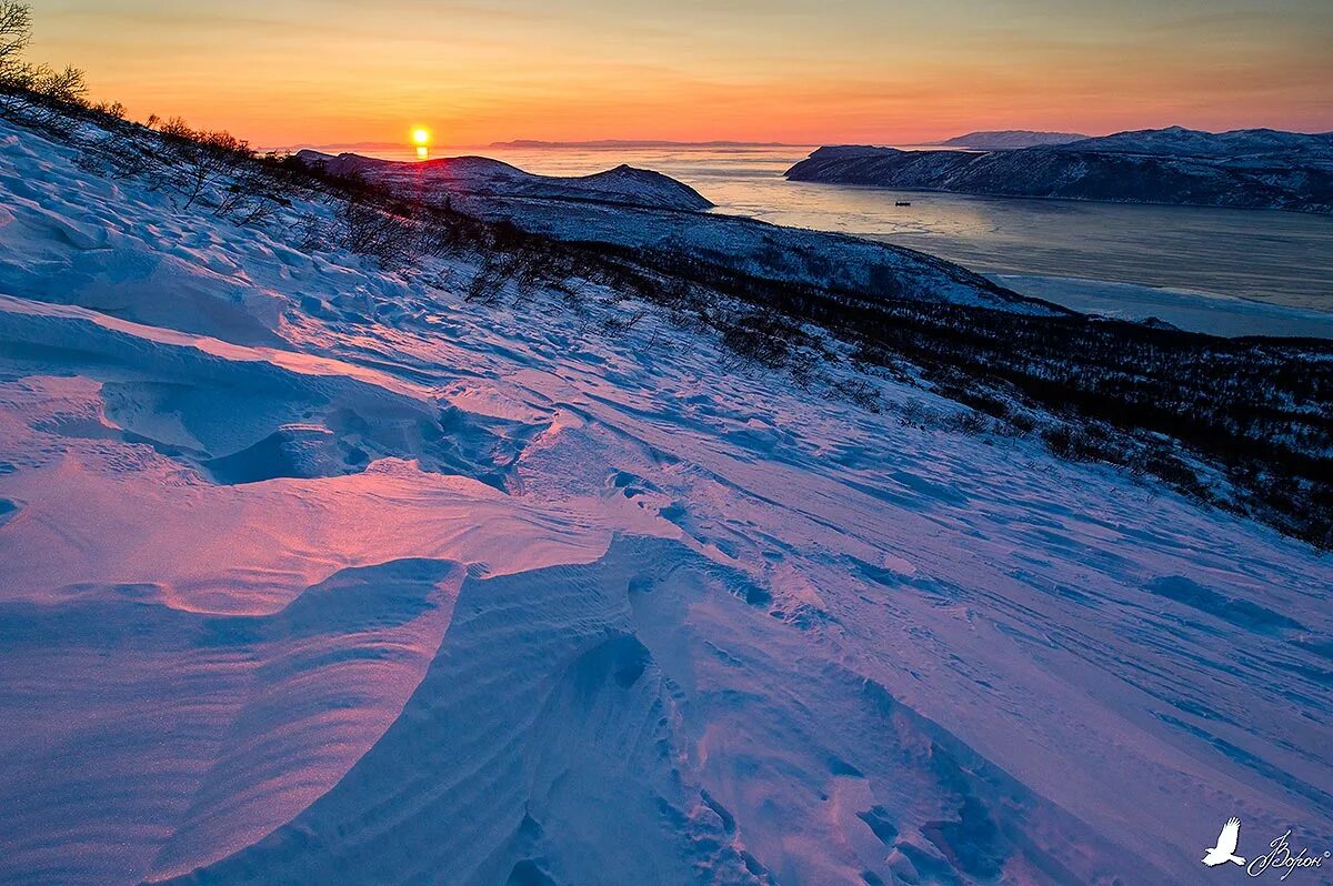 цветной снег в челябинске. снег разного цвета. снег и солнце. снег разного цвета. водоросли на снегу.