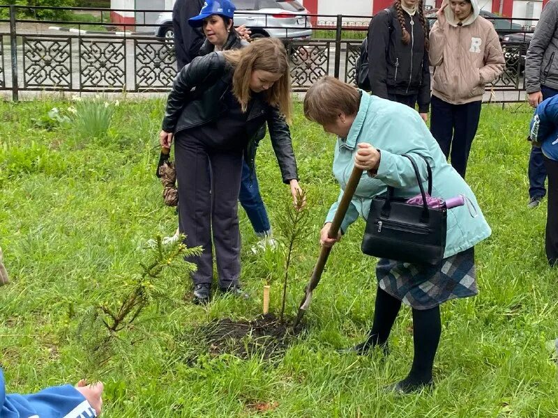 новости новая реальность шумерля
