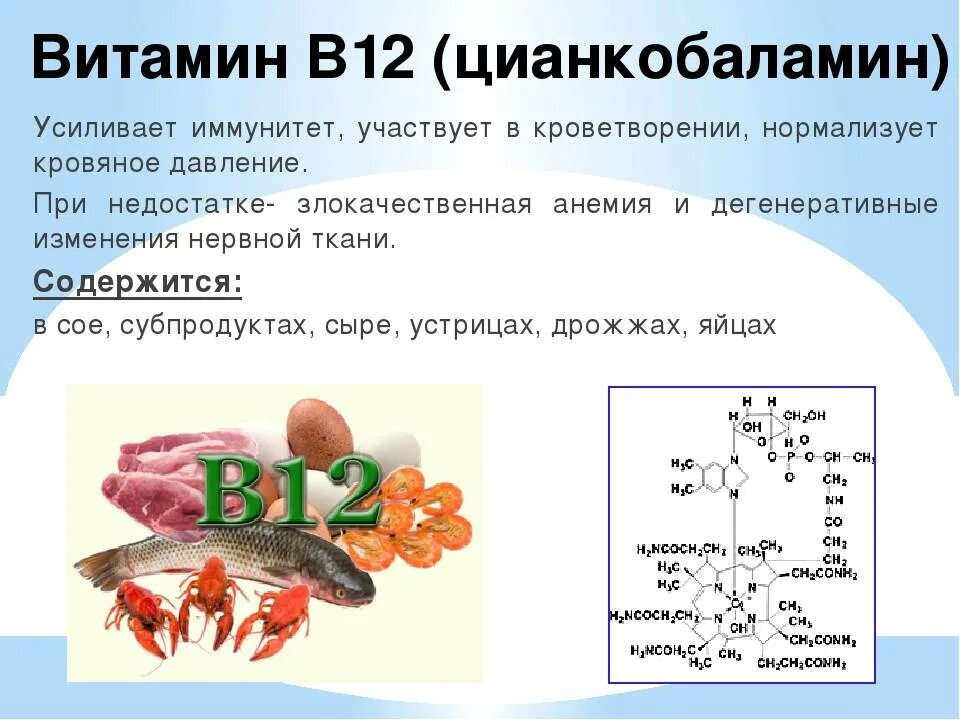Почему витамин b. Витамин b12 функции в организме человека. Функции витамина б12 в организме человека. Витамин в12 цианокобаламин функции. Микроэлемент необходимый для функционирования витамина в12.