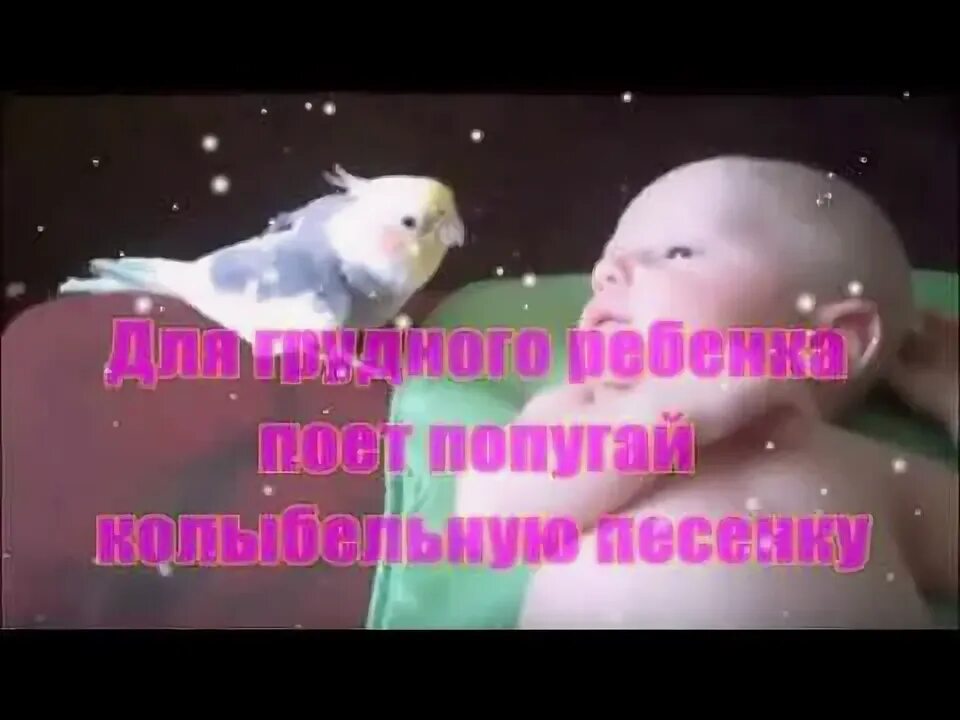 Сова в колыбели. Малыш уснет за 3 минуты колыбельная. Колыбельная для малышей пения птиц. Колыбельная для малышей пения птиц. Колыбельная фон.