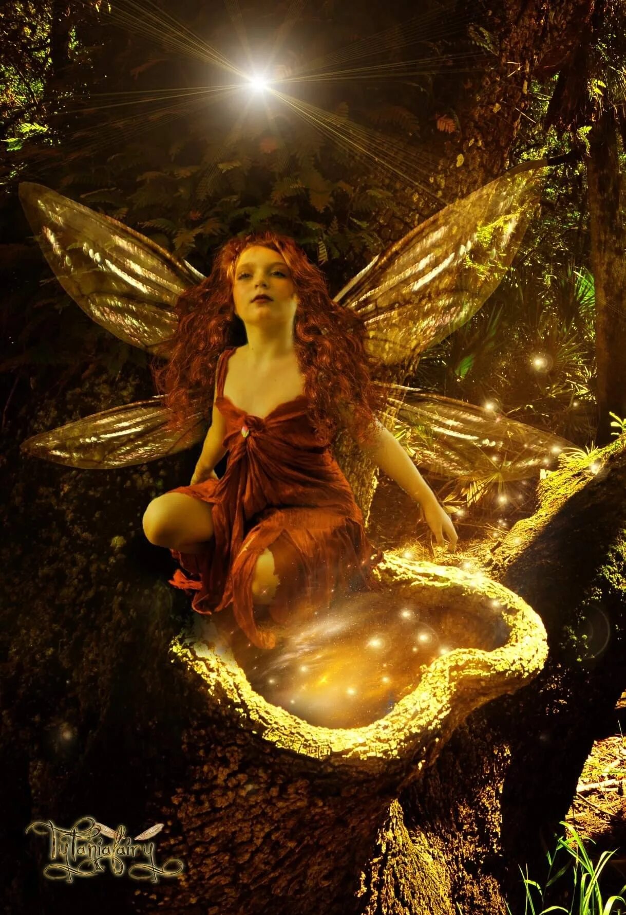 игра zanzarah 2. настя нижний тагил. феи портал тагил. феи портал тагил. феи портал тагил.