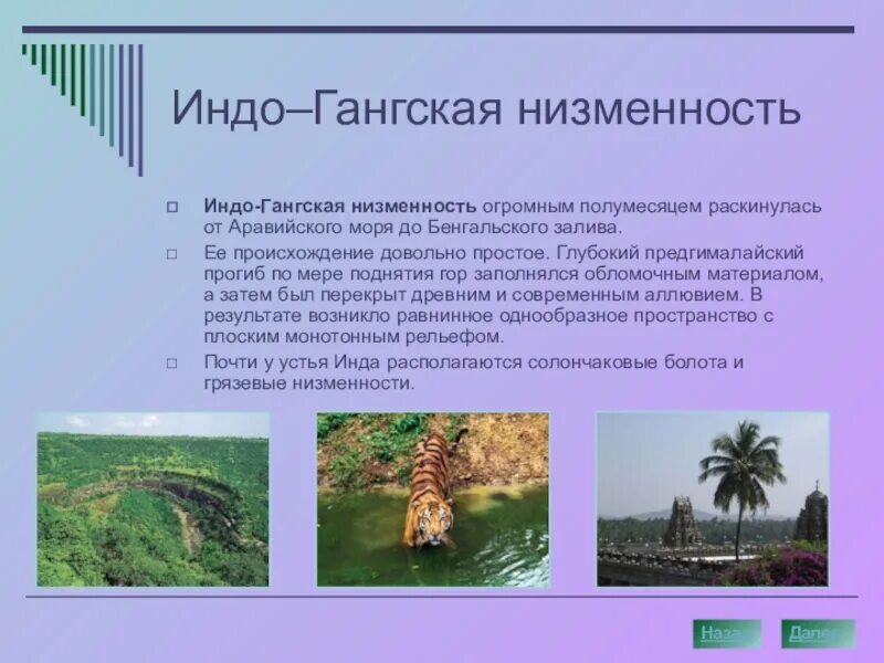 Индо-Гангская низменность высота. Индогандская нмзменность. Инсдо Ганская низменост. Нидо-Гагская низменность. Индо гангская низменность на контурной карте