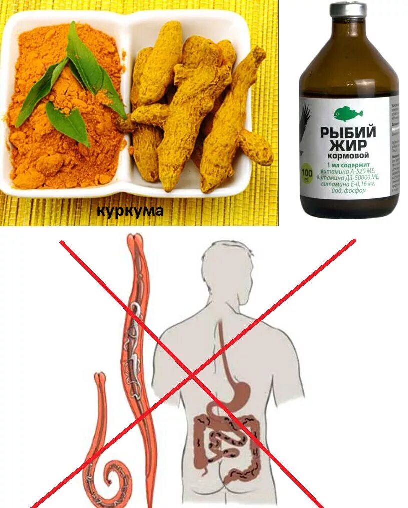 Народные средства от глистов. Продукты против паразитов в организме. Народные средства от глистов у ребенка. Глисты как лечить народными. Глисты народные средства.
