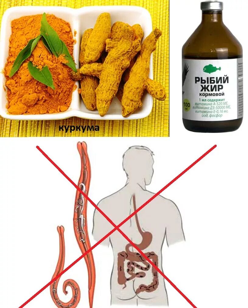 Вывести паразитов из организма. Как вывести глистов у человека в домашних