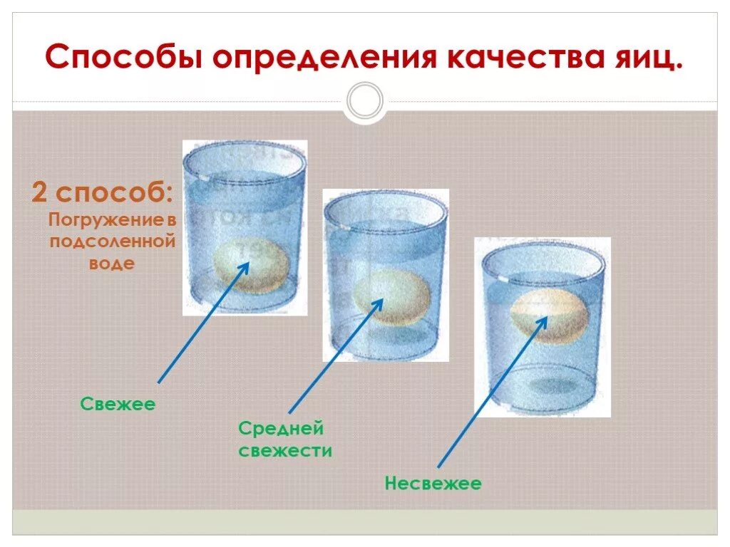 Способы определения качества яиц. Свежесть яиц способ. Способы определения свежести яиц. Способы определения качества яиц погружение в воду. Проверка яиц на свежесть