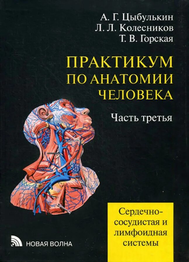 Пособие по анатомии для вузов. Практикум по анатомии человека. практикум по анатомии и физиологии человека. практические занятия по анатомии.