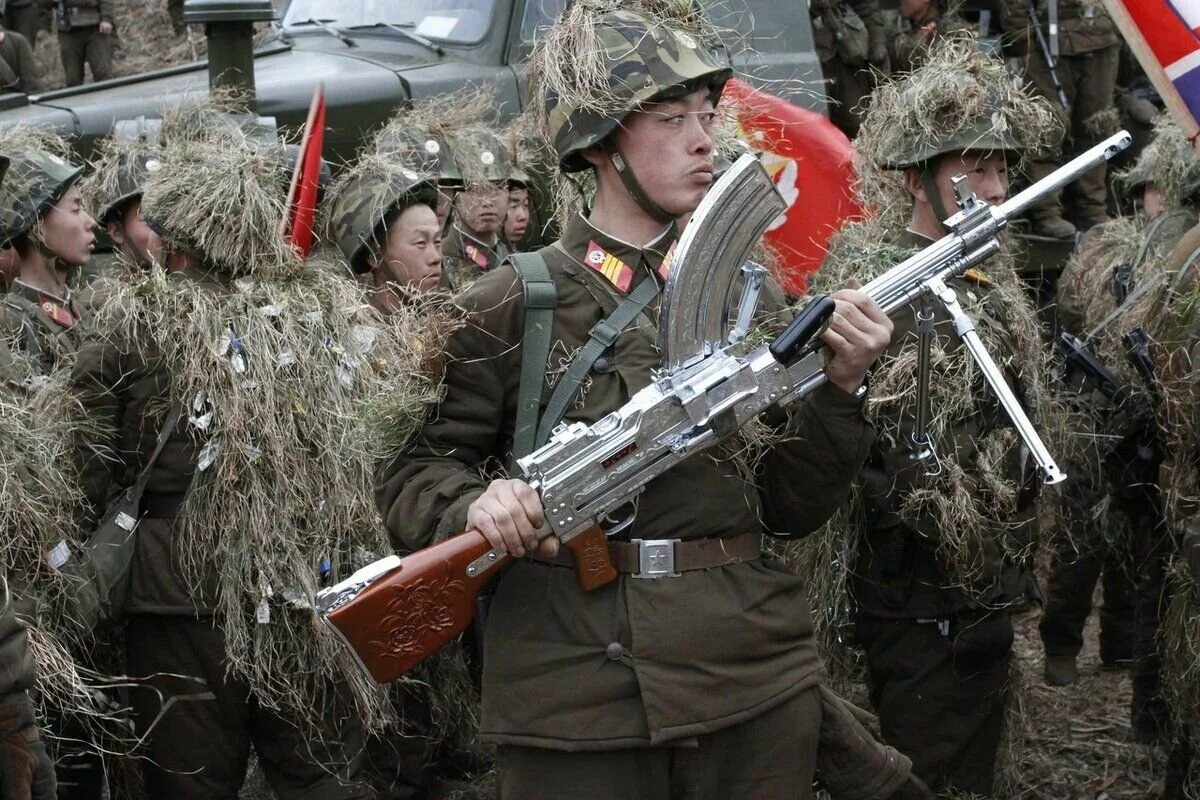 Корея оружие россии. Северная Корея пулемет Тип 73. Оружие Северной Кореи огнестрельное. Армия Северной Кореи вооружение. Стрелковое оружие армии Северной Кореи.
