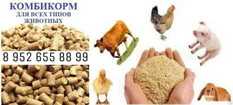 Комбикорм карта