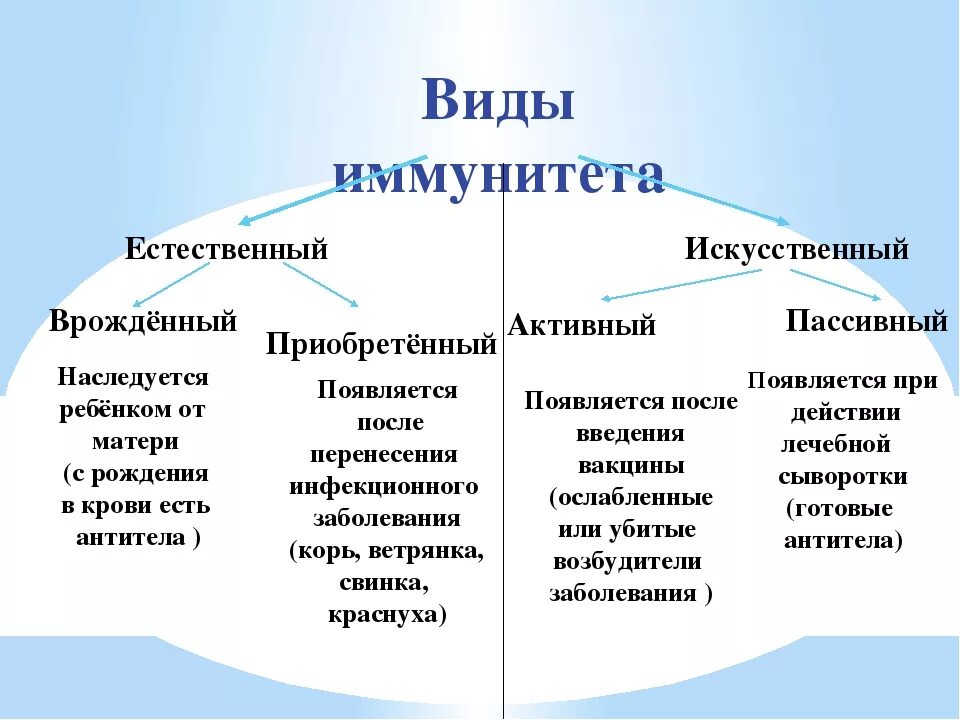 Таблица виды иммунитета естественный и искусственный. Иммунитет естественный и искусственный схема. Виды иммунитета естественный искусственный. Естественный активный иммунитет сроки формирования.