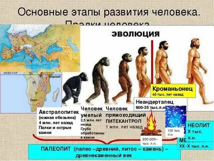 Почему человечество развивается