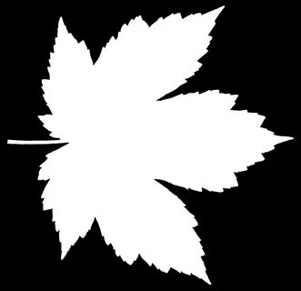Карт лист альфа