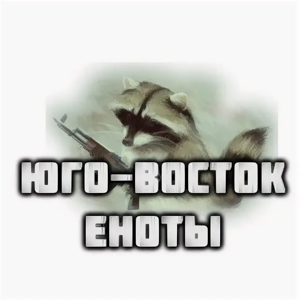 Юго Восток еноты. Восток еноты. Енот Донбасс. Боевые еноты Донбасса.