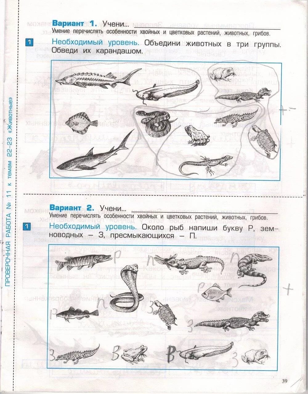 Тех карта окр мир. Контрольная работа 3 окружающий мир 3 класс. Рабочая тетрадь окружающий мир 1 класс контрольная. Окружающему миру 3 класс Вахрушев контрольные. Окр мир задания.