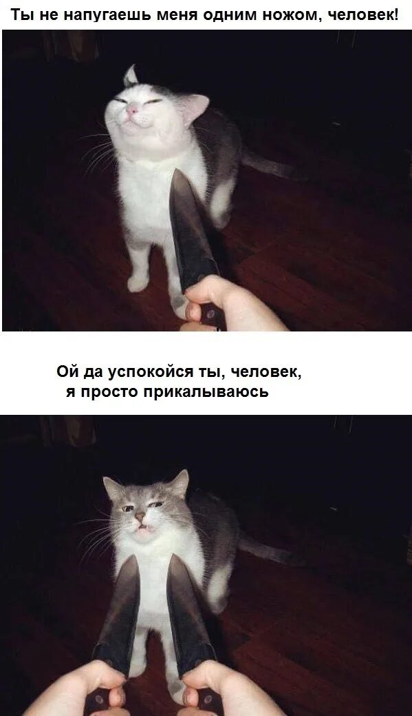 Ты думал что можешь меня напугать