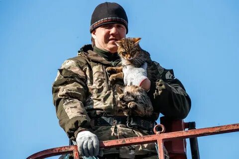 Мил новости