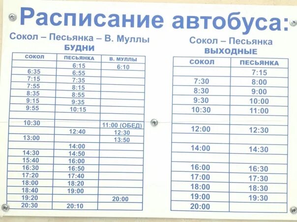 Расписание автобусов 31. Расписание автобусов Сокол. Автобус Сокол. Расписание автобусов Сокол 4.