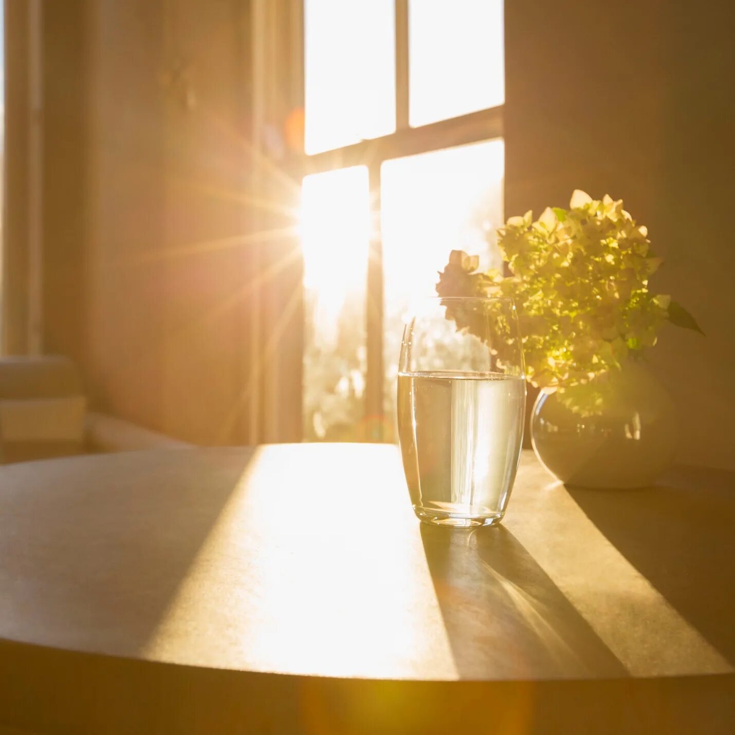 залиты ярким светом. лучи солнца. текст раннее утро. человек в солнечных лучах. солнечная девушка.