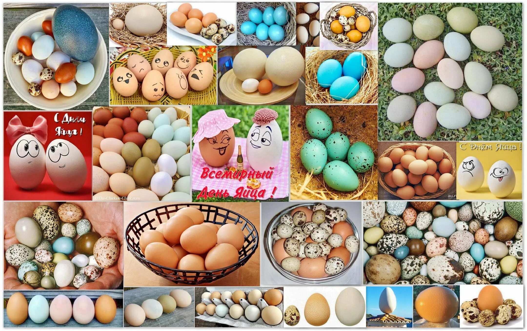 Десять яиц в день. Всемирный день яйца. День яйца картинки. Когда Всемирный до ень яйца. С днем рождения на яйцах.