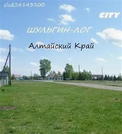 Село Шульгин Лог. Шульгин Лог Алтайский край. Алтайский край Советский район село Шульгин Лог. Шульгин Лог советского р-на. Погода шульгин лог советского