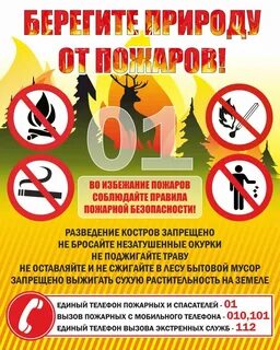 Берегите природу какое это предложение