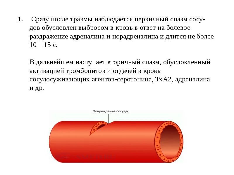 Выброс адреналина симптомы ощущения. Выброс адреналина в кровь. первичный спазм сосудов. спазм поврежденных сосудов. как происходит выброс адреналина.
