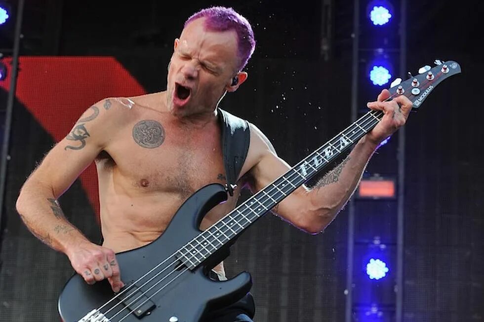 Басист мем. Фли rhcp. фли бас гитарист. фли басист рхчп. басист red hot chili peppers.