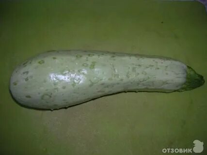 Форум кабачковый