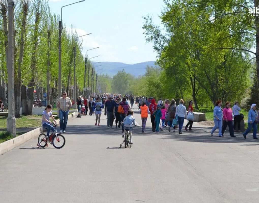 Сайт татышев красноярск