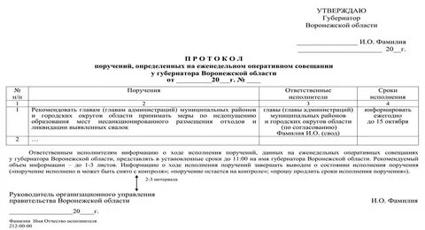 Поручения главы муниципального образования