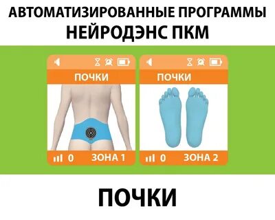 Почечная программа