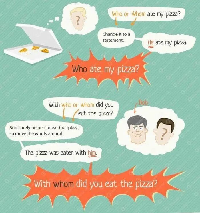Учебник спотлайт 6 ссылка. Упражнения на what where when. Who you. Предложения с who which. Who are you английский язык 6 класс.