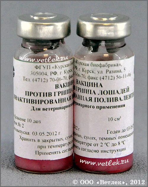 /интервет/. Эквилис преквенза для лошадей. Вакцина против гриппа лошадей. Вакцина против ринопневмонии лошадей св-69. Вакцина от лептоспироза и ринопневмония лошадей.