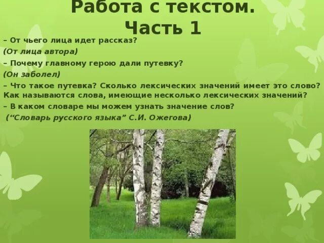 Родные березки изложение. Изложение береза. Изложение с изменением лица. Изложение текста с изменением лица. Астафьев Березки изложение.