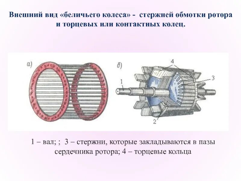 Как называется обмотка ротора. Беличье колесо в асинхронном двигателе. беличья клетка асинхронного двигателя. асинхронный двигатель с короткозамкнутым ротором. паз ротора 4азм.