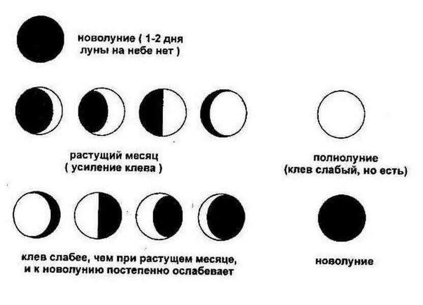 Месяц иногда в течение месяца