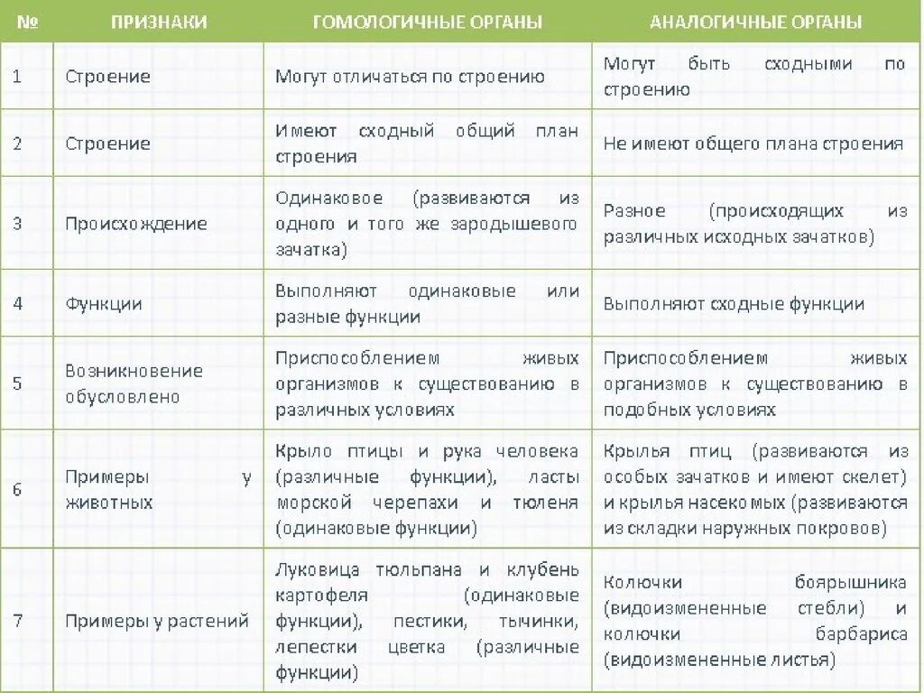 Гомологичные и аналогичные органы растений таблица. Аналогичные органы и гомологичные органы сходства и различия. Аналогичные и гомологичные органы таблица ЕГЭ. Таблица гомологичные органы аналогичные рудименты.