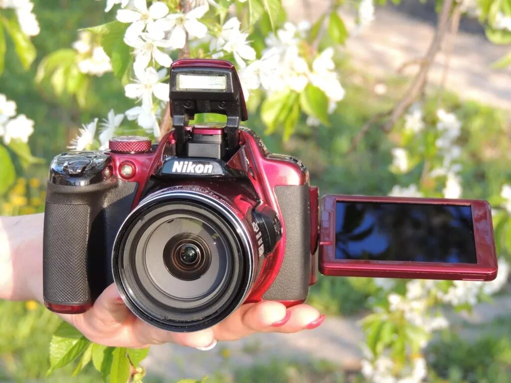 Фотоаппарат Кэнон красный. Фотоаппарат Nikon с поворотным дисплеем. Фотоаппарат с выдвижной камерой. Камера с поворотным экраном.