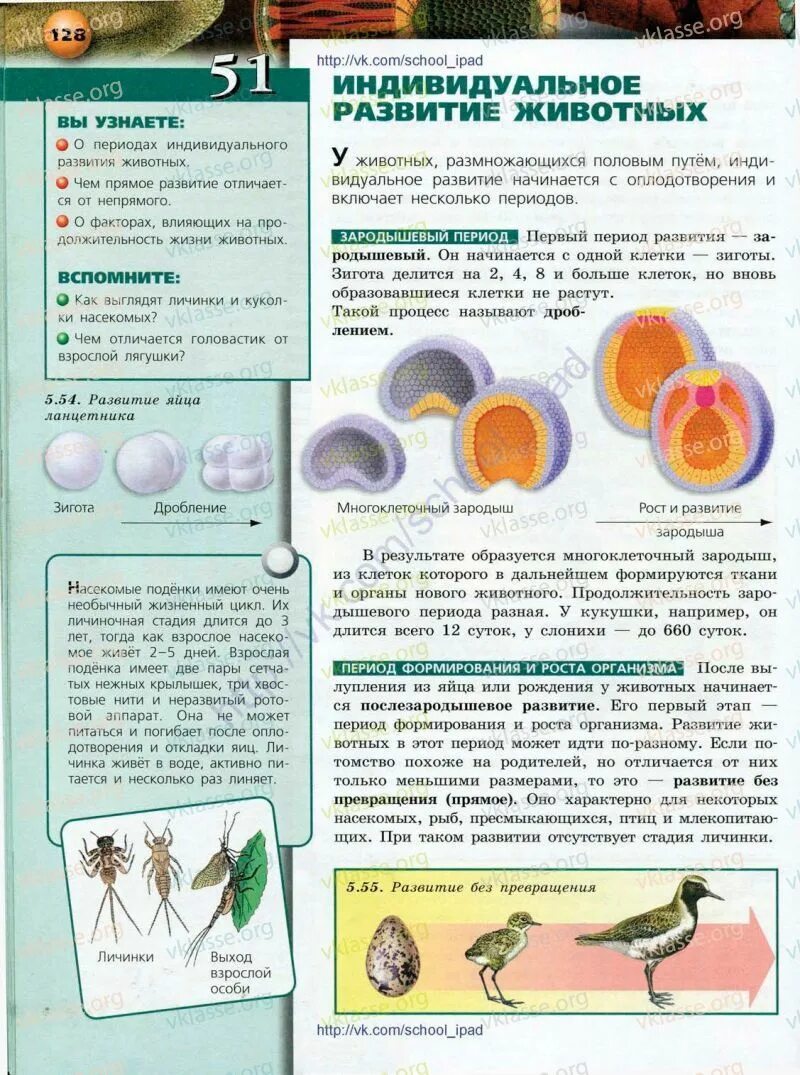 Биология 5-6 класс. Учебник биологии 5. Учебник по биологии 5-6 класс. Биология. Живой организм. 5-6 Классы. Сухорукова л. н., Кучменко в. с.. Биология 5 класс страница 129 вопросы ответы