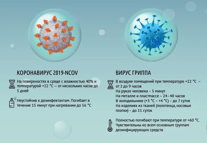 Грипп ковид 2024. Вирус гриппа. Вирус гриппа и коронавирус. Разновидности гриппа. Молекула гриппа.