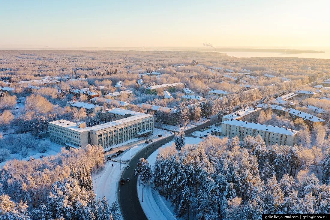 Новосибирск городок Академ. Академгородок научный центр. Новосибирск наукоград Академгородок. Академия городок в Новосибирске. Новосибирский городок